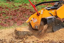 Best Root Management and Removal  in Key Largo, FL